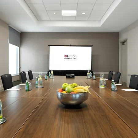 Hotel Hilton Garden Downtown/magnificent Mile 3*