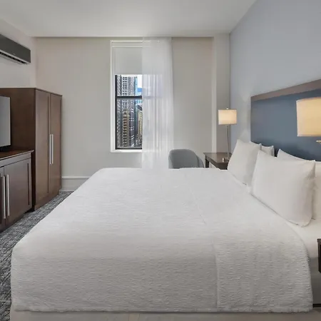 Hampton Downtown/n Loop/michigan Ave 3* Chicago