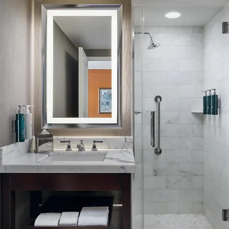 Hotel Hilton Chicago