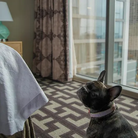 Homewood By Hilton West Loop Fulton Mkt Area 3*