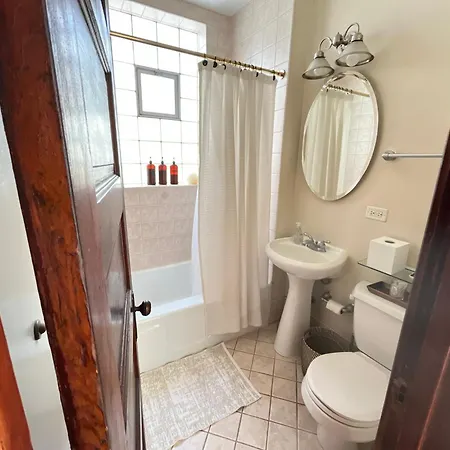 Classic Chicago Upstairs Apt Private Balcony Apartment
