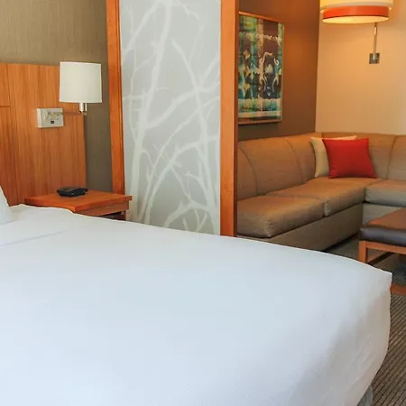 Hyatt Place Chicago-south/university Medical Center Hotel Chicago