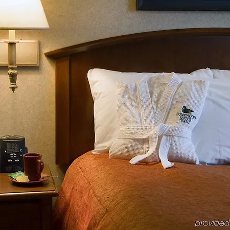 Homewood By Hilton Chicago-downtown Hotel 3*