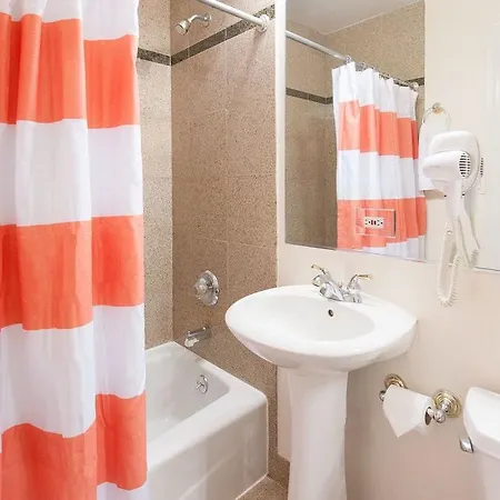 Studio On E Bellevue Place Apt 1b Chicago