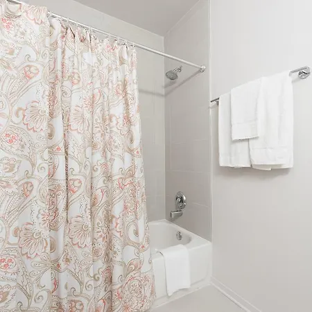 One-bedroom On E Roosevelt Road Apt 503 Chicago