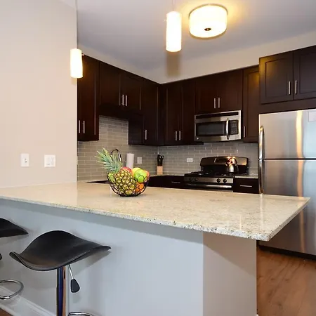 Modern River North Apartment Chicago