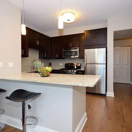 Modern River North Apartment Chicago