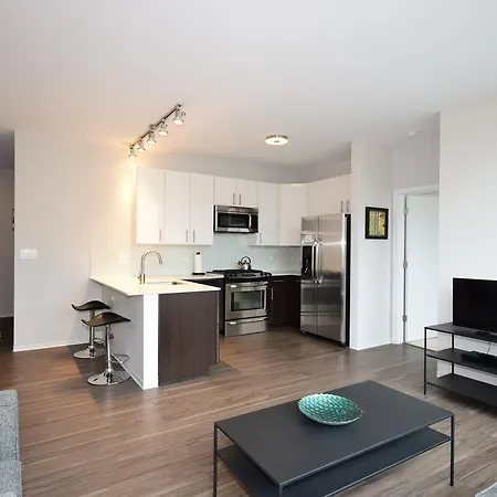 Apartment Modern Greek Town Chicago