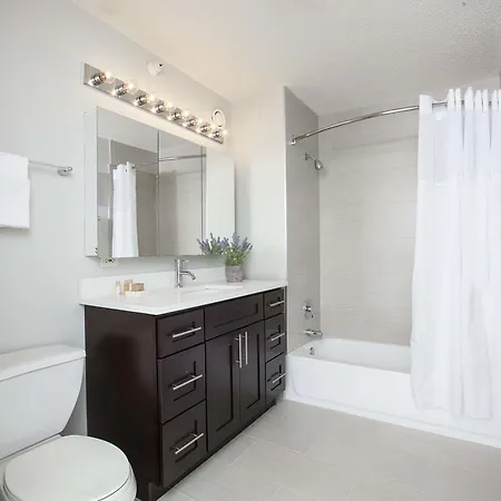 Apartment Alfred On State Street Chicago