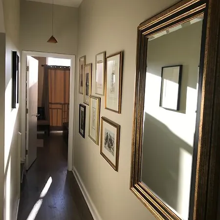 In Million $ Townhouse Apartment Chicago