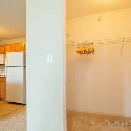 Lake Shore East Apartment Chicago