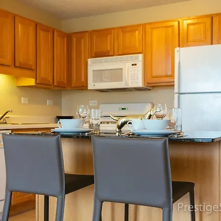 Lake Shore East Apartment