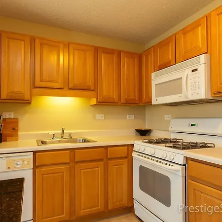 Lake Shore East Apartment Chicago