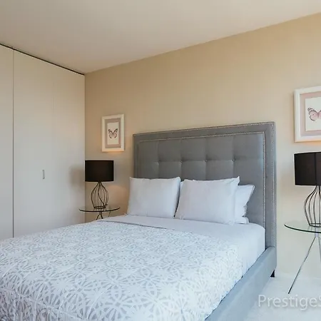 Lake Shore East Apartment Chicago