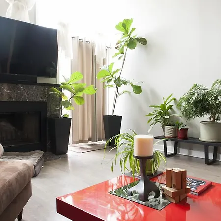 Apartment In Million $ Townhouse Chicago