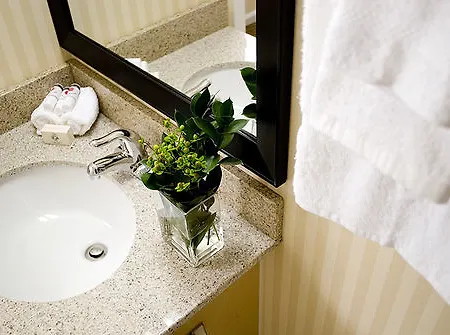 Comfort Michigan Avenue Hotel Chicago