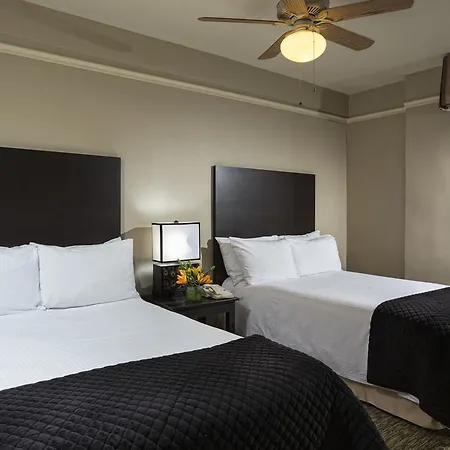 City Suites Hotel