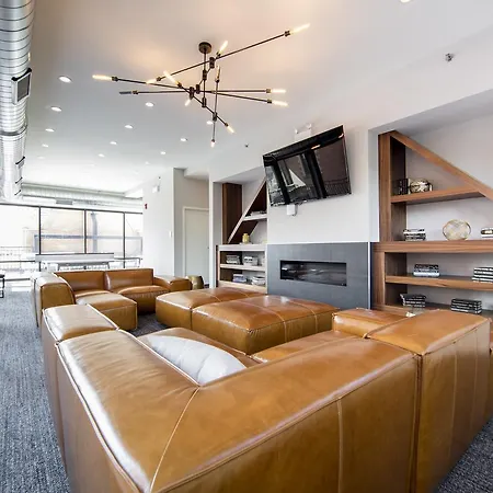 Silver Chicago