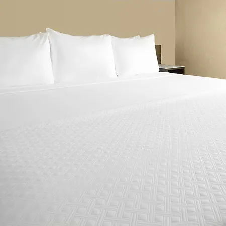 Cambria Loop - Theatre District 4* Chicago