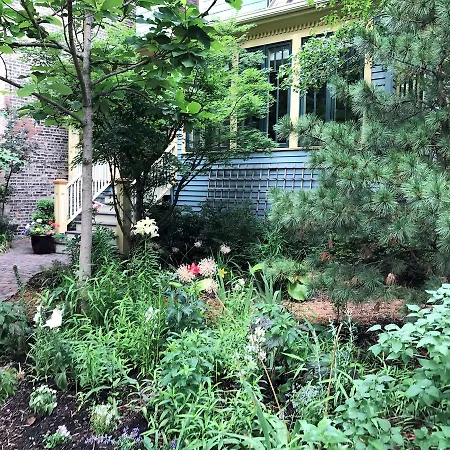 Magnolia Guest house Chicago