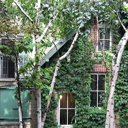 Magnolia Guest house
