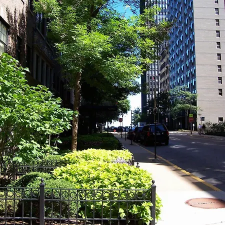 Hotel Dewitt And Chicago