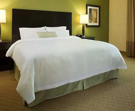 Hampton Downtown/magnificent Mile 3* Chicago