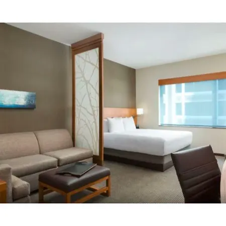 Hotel Hyatt Place Chicago/downtown - The Loop Chicago