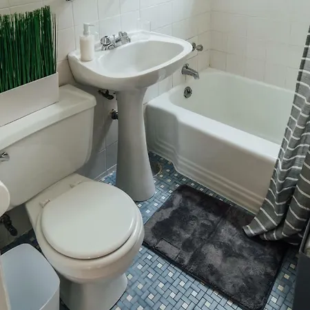 1br Modern In The Heart Of The - Marshfield G Chicago
