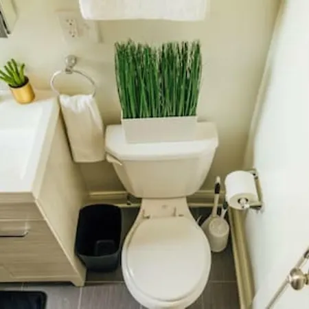 Convenient & Newly Decorated 1br - Roscoe 1d Apartment