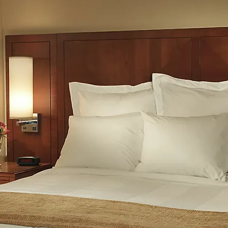 Hotel Courtyard By Marriott Downtown/river North Chicago
