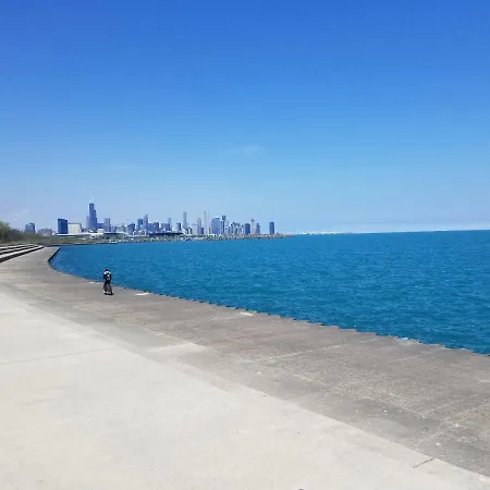 Forrestville Ave Large * Chicago