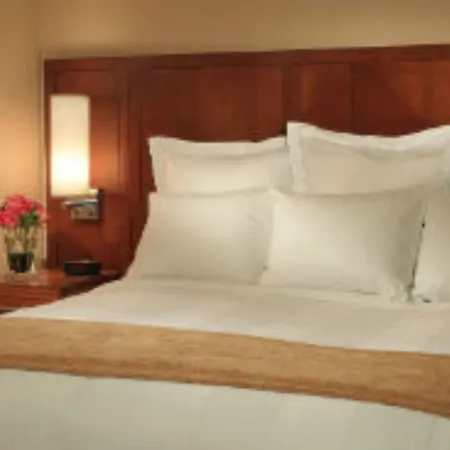Courtyard By Marriott Downtown/river North Hotel Chicago