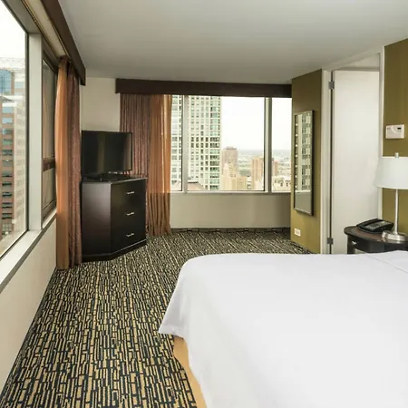 Homewood By Hilton Downtown - Magnificent Mile 3* Chicago