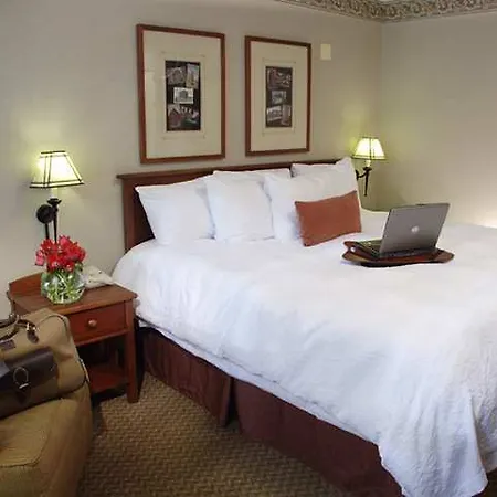 Hotel Hampton & Chicago-downtown 3*