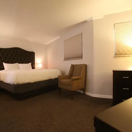Selina Hotel