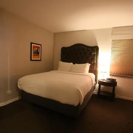Selina Hotel 3*