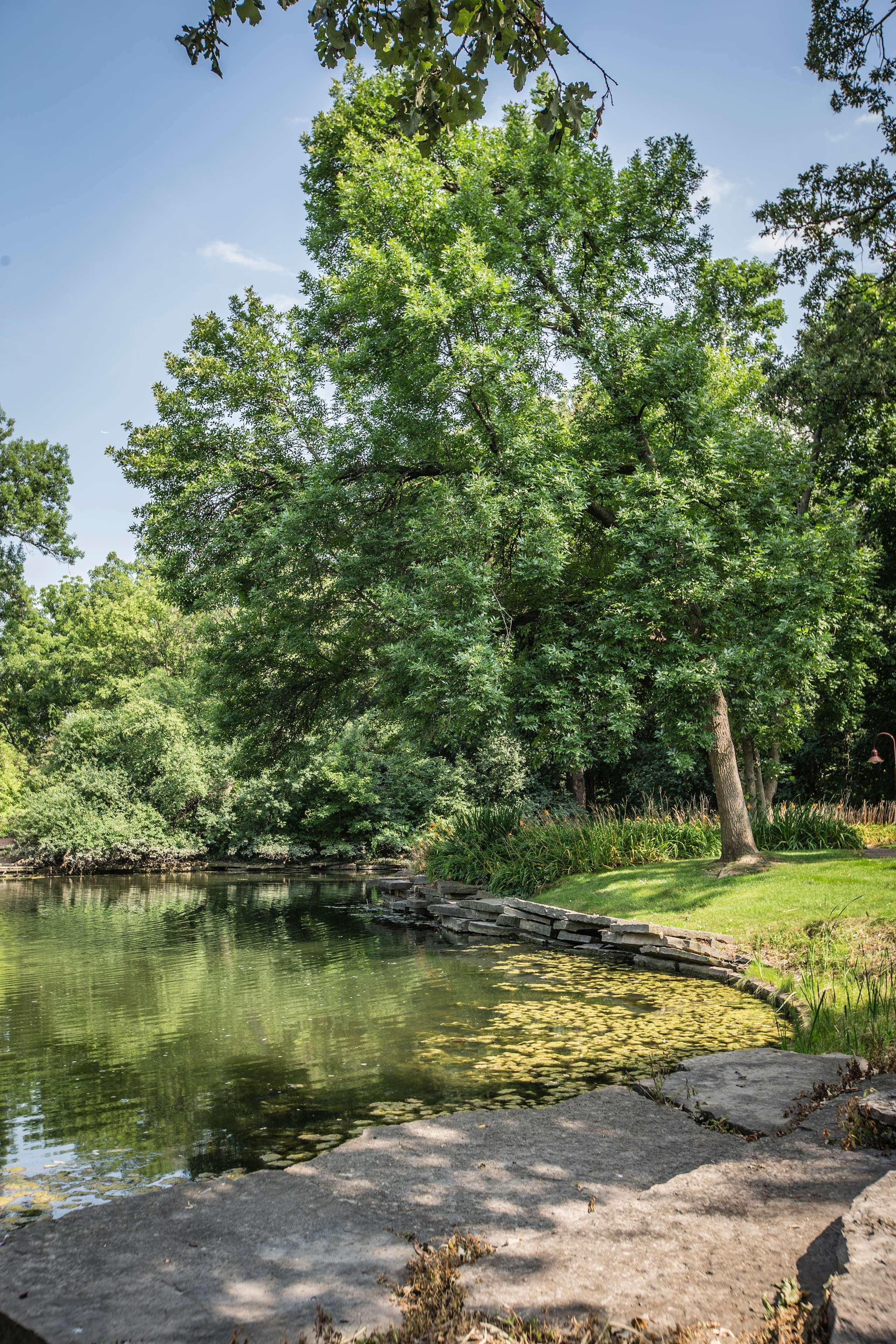 Hotel Hampton Downtown/n Loop/michigan Ave Chicago