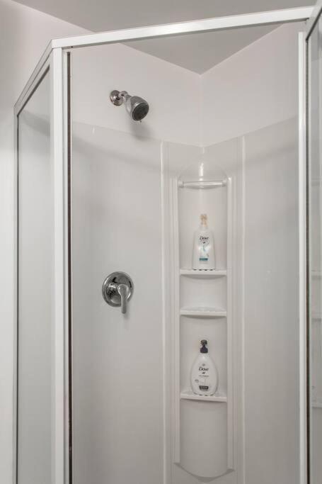The Wrigleyville Deluxe -steps From Wrigley Sleeps 10 Apartment
