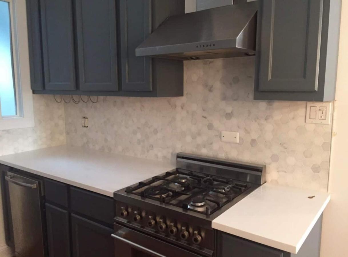 Apartment Walk To Lincoln Park, North Avenue Beach, And Second City! Lovely Old Town Charm!