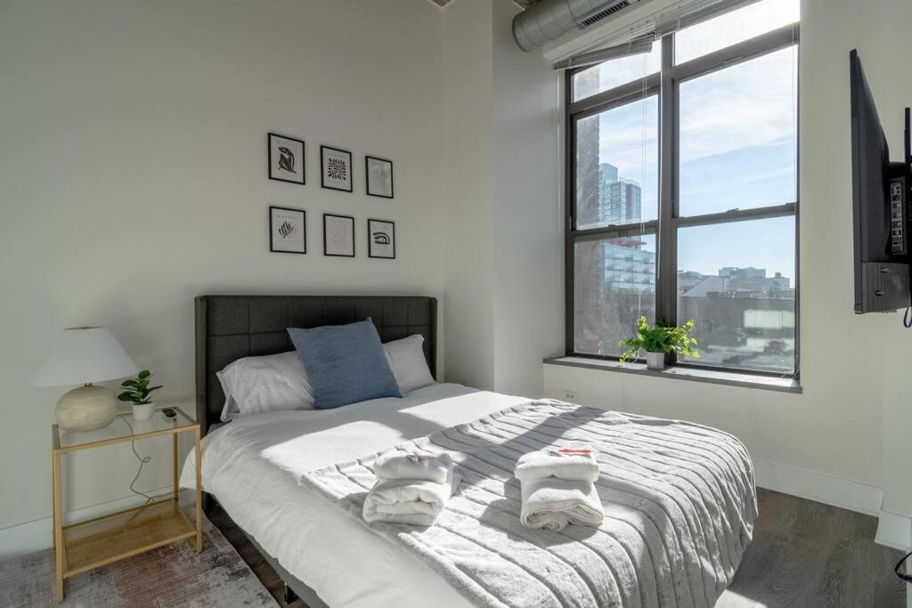 Mccormick Place Beautiful 2br With Optional Parking Sleeps Up To 8 Near Soldier Field, Grant Park And Lakefront Trail Appartement Chicago