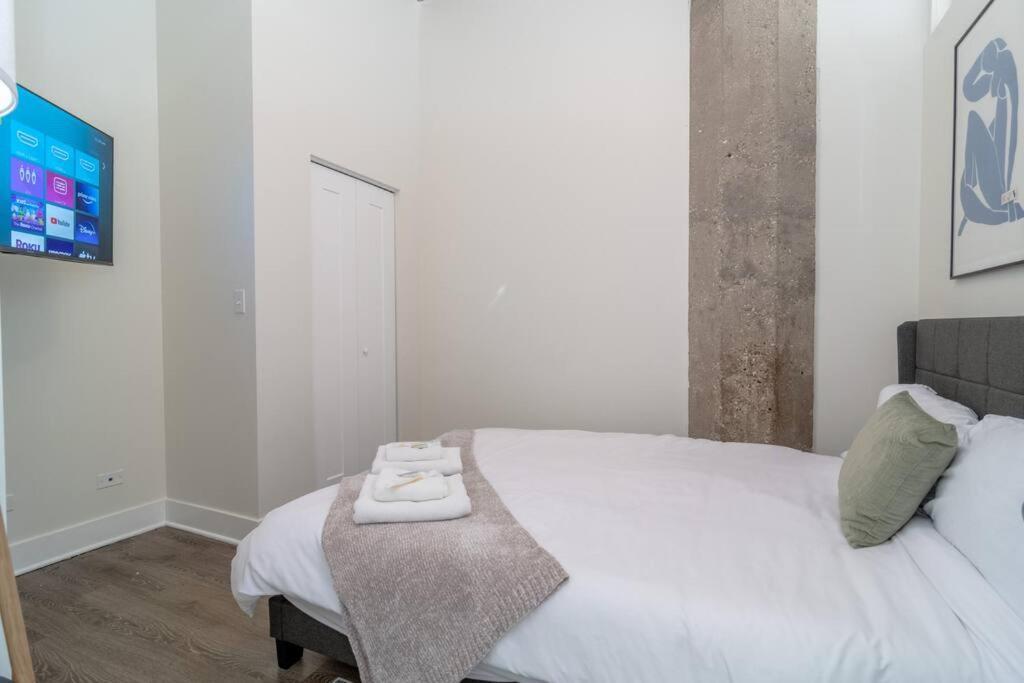 Apartment Mccormick Place Amazing 2Br Suite With City View And Optional Parking For Up To 8 Guests Near Soldier Field And Lakefront Trail Chicago