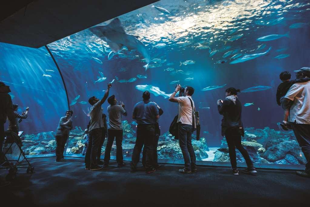 Hotel Western Grant Park