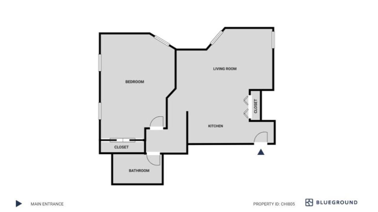 South Loop 1br Nr L Grant Park Chi-805 Apartment Chicago