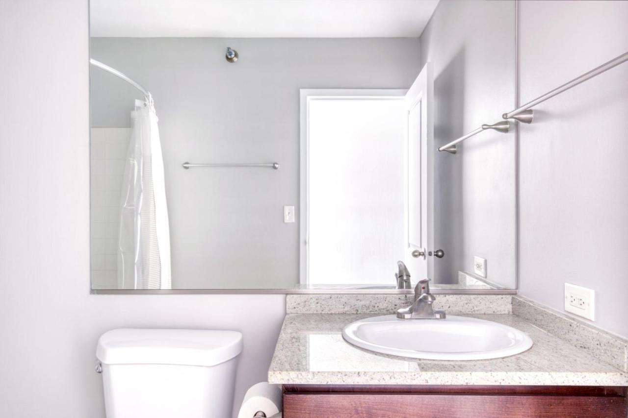 Streeterville W Pool Gym Nr Park Chi-581 Apartment Chicago