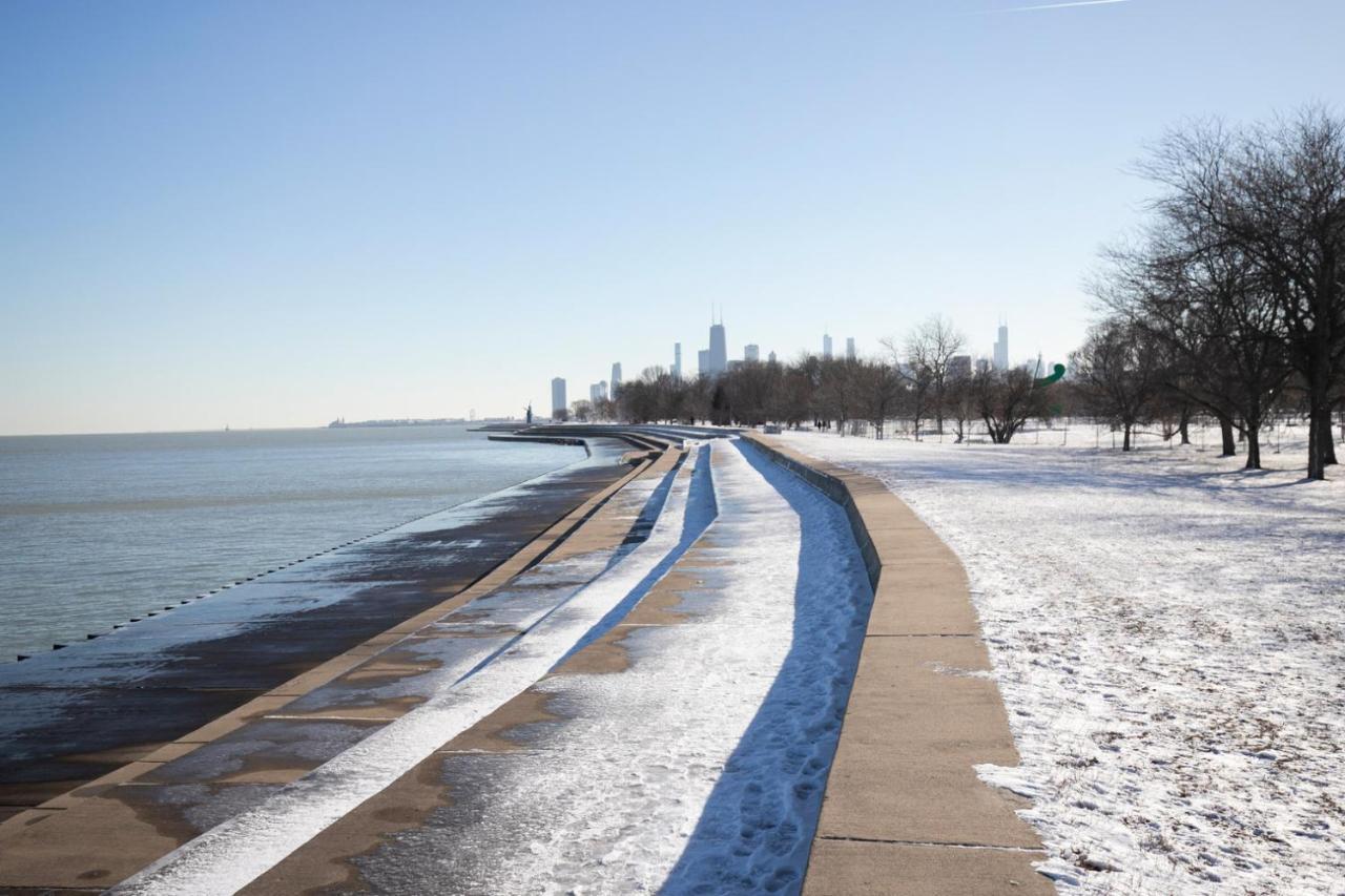 Lakeview 1br W Wd Gym Nr Lakefront Trail Chi-203 *