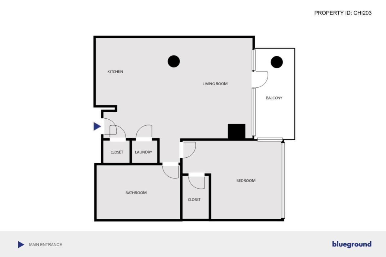 Lakeview 1br W Wd Gym Nr Lakefront Trail Chi-203 Apartment Chicago