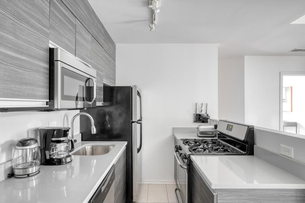 South Loop 1br Nr L Grant Park Chi-804 Apartment Chicago