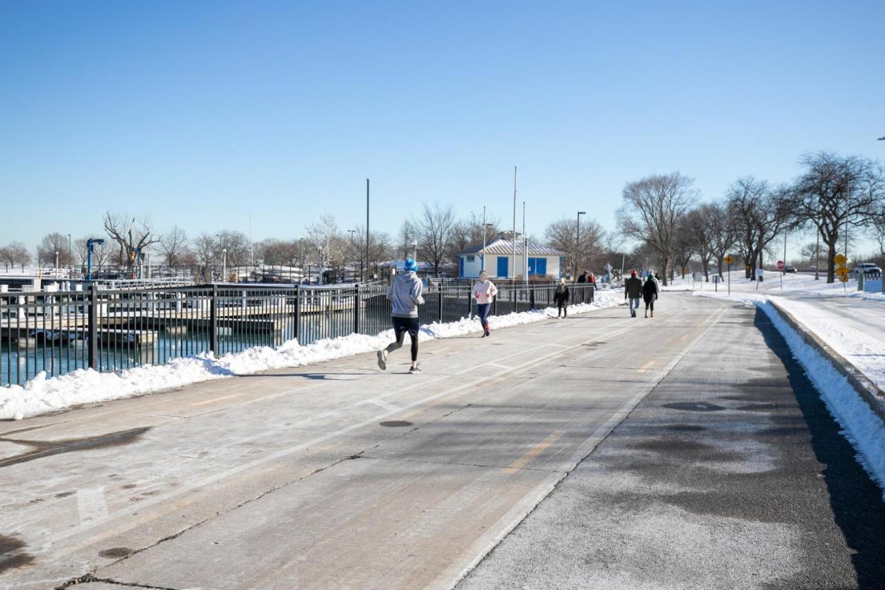 Lakeview 1br W Wd Gym Nr Lakefront Trail Chi-203 Apartment *