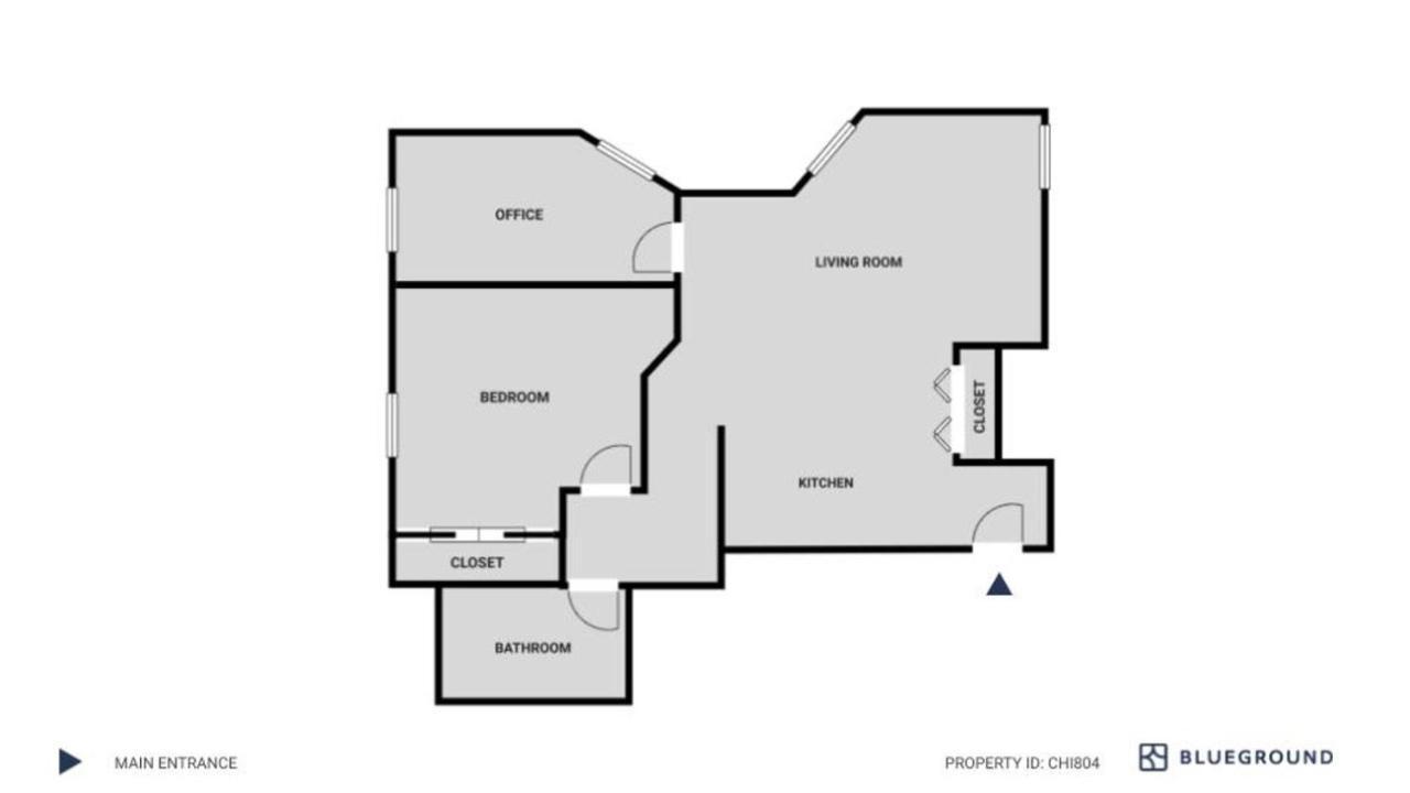 South Loop 1br Nr L Grant Park Chi-804 Apartment